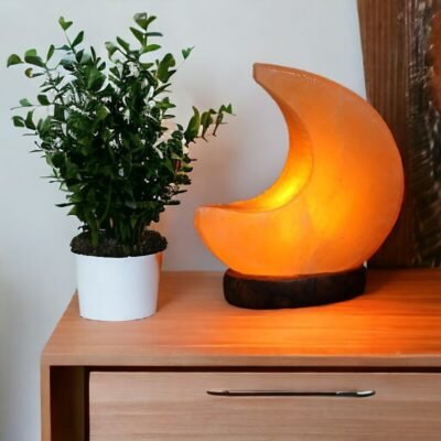 Original Moon-Shaped Salt Rock Lamp