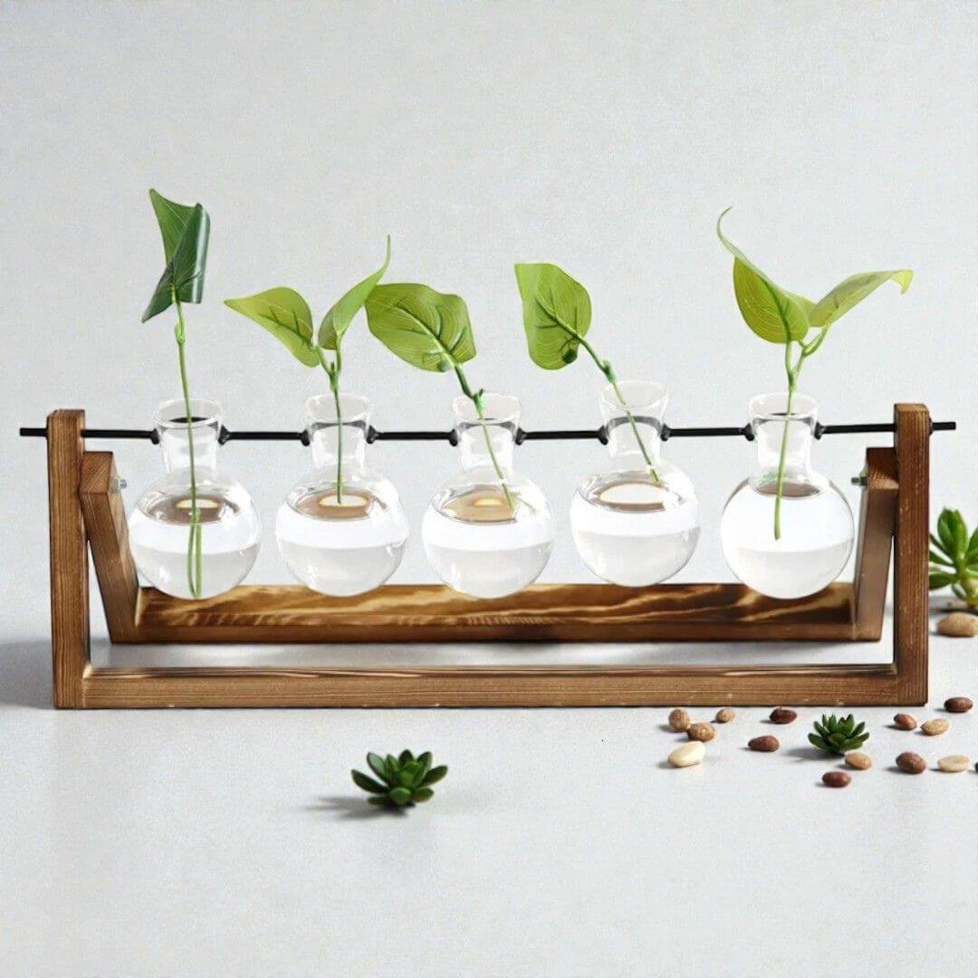 The Darwin Hydroponic Observatory