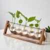 The Darwin Hydroponic Observatory