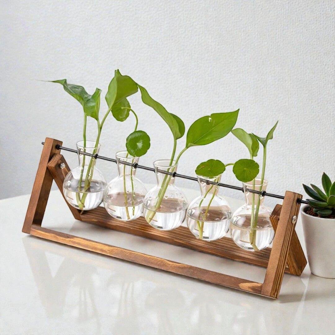 The Darwin Hydroponic Observatory