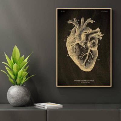 Human Body Anatomy Poster