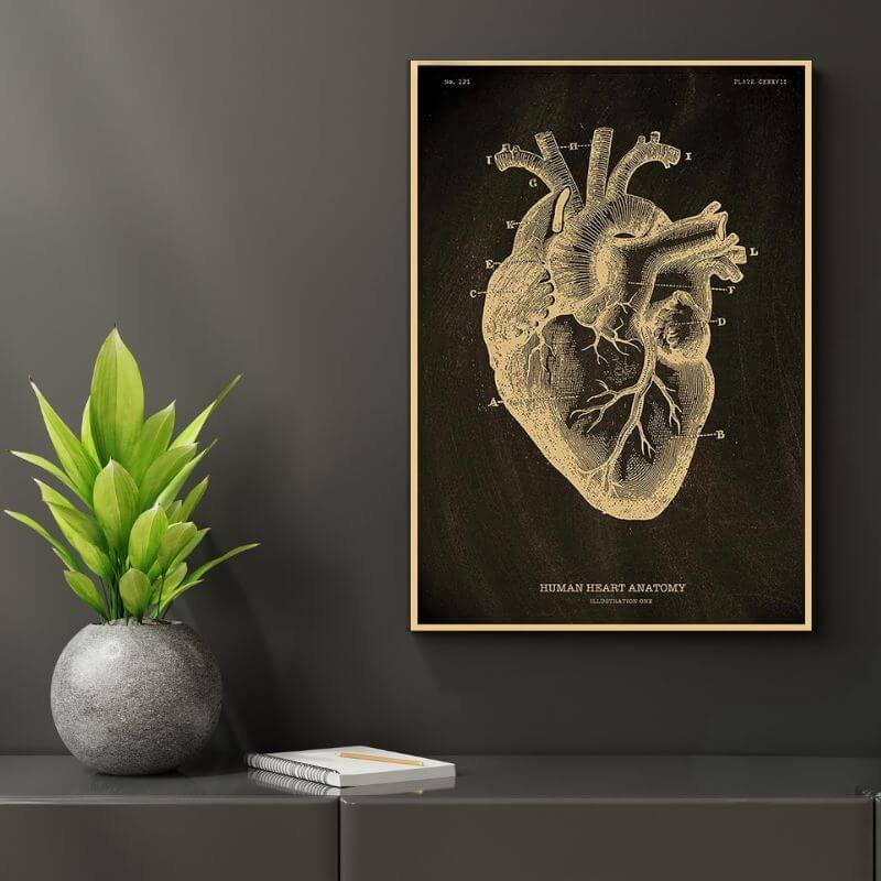 Human Body Anatomy Poster