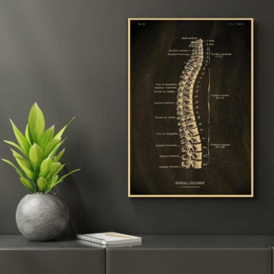 Human Body Anatomy Poster