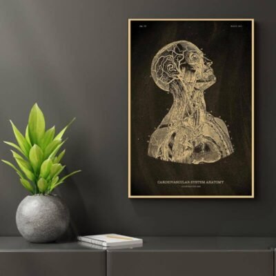 Human Body Anatomy Poster