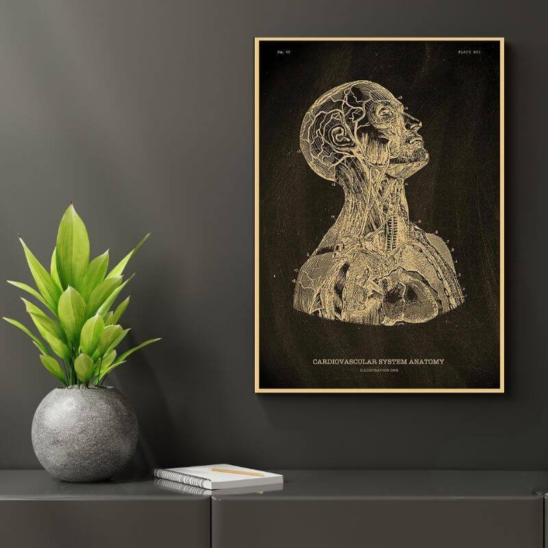Human Body Anatomy Poster