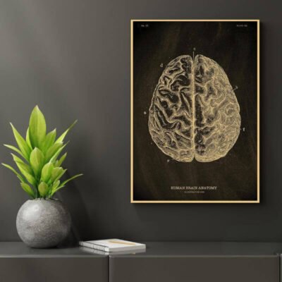 Human Body Anatomy Poster