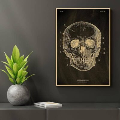 Human Body Anatomy Poster