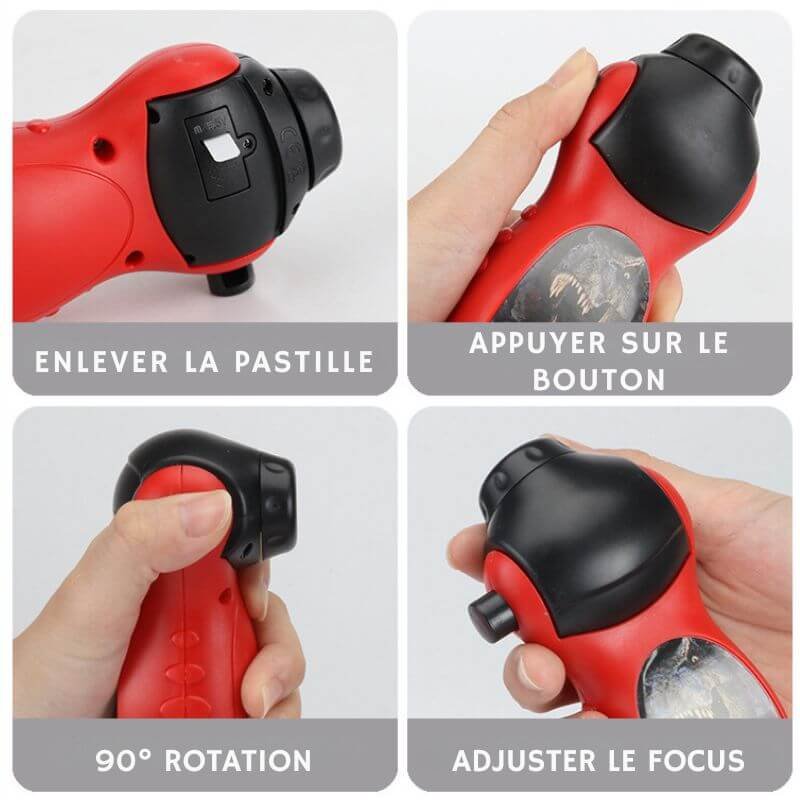 Dinosaur Projector