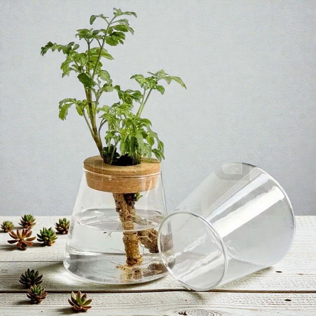 Genesis Hydroponic Station