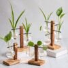 Hydroponic Propagation Station - The Plant Observatory