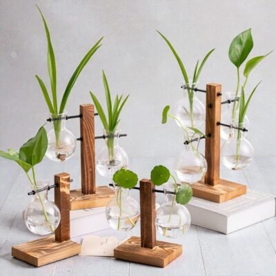 Hydroponic Propagation Station - The Plant Observatory