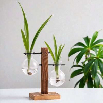 Hydroponic Propagation Station - The Plant Observatory