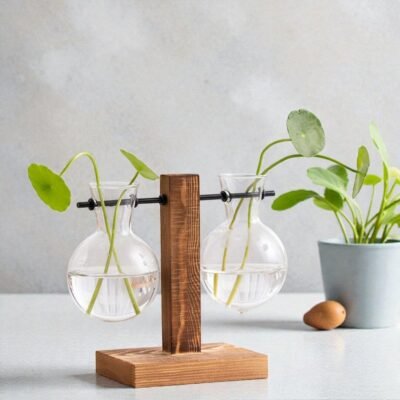 Hydroponic Propagation Station - The Plant Observatory