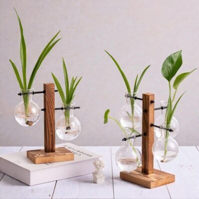 Hydroponic Propagation Station - The Plant Observatory