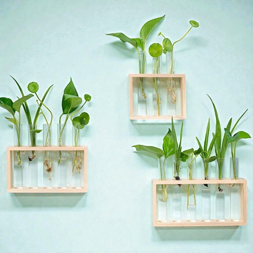 Darwin Hydroponic Observatory
