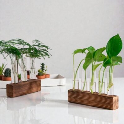 Botanical Propagation Station - The Laboratory Test Tube Vase