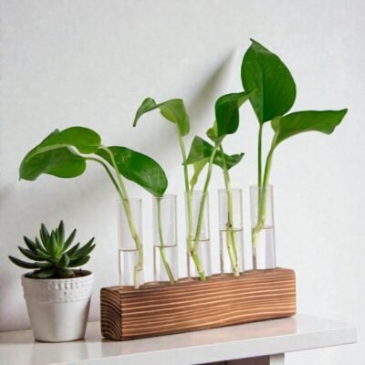Botanical Propagation Station - The Laboratory Test Tube Vase