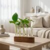 Botanical Propagation Station - The Laboratory Test Tube Vase
