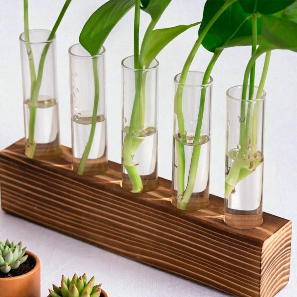 Hydroponic Propagation Station
