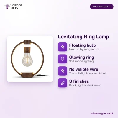Levitating Ring Lamp