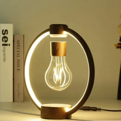 Levitating Ring Lamp with Floating Light Bulb