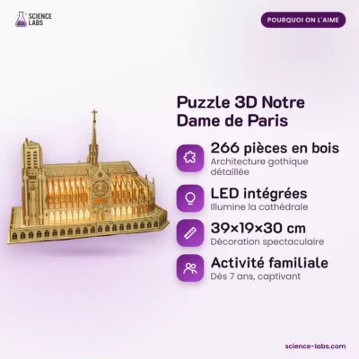 Notre Dame de Paris 3D Puzzle: the benefits