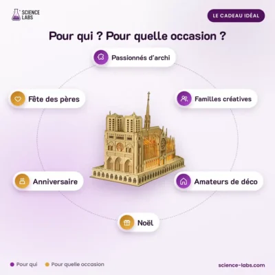 Notre Dame de Paris 3D Puzzle: who it's for and when to give it